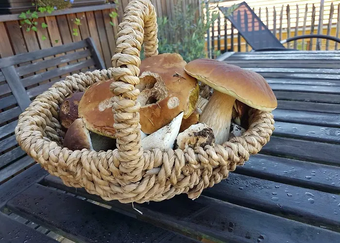 Holzmichel